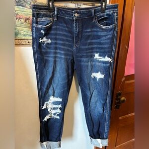 Flying Monkey Distressed Skinny Jeans